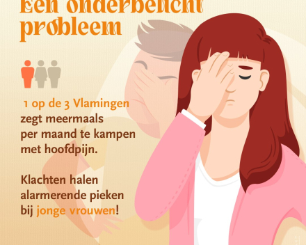 Hoofd-Stuk vzw