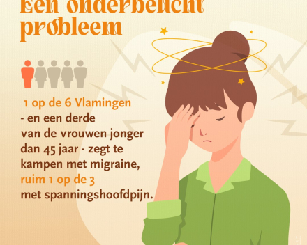 Hoofd-Stuk vzw