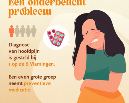 Hoofd-Stuk vzw