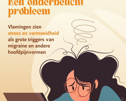 Hoofd-Stuk vzw