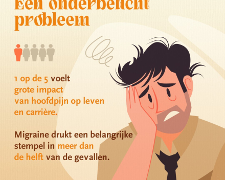 Hoofd-Stuk vzw