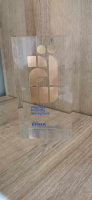 Hoofd-Stuk kreeg de award voor migraine vriendelijke werkplaats!